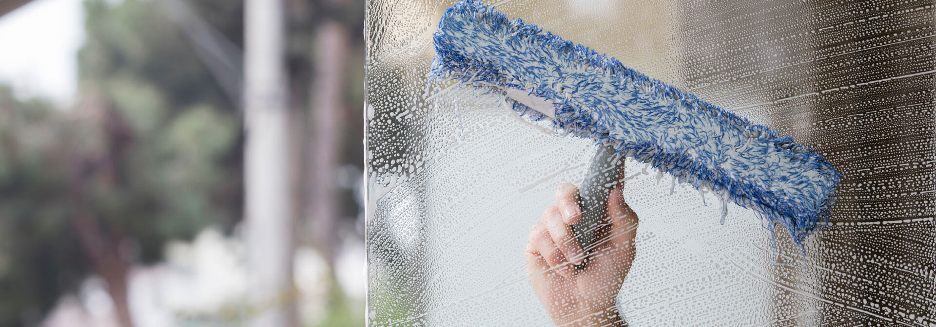 Cleaning Window